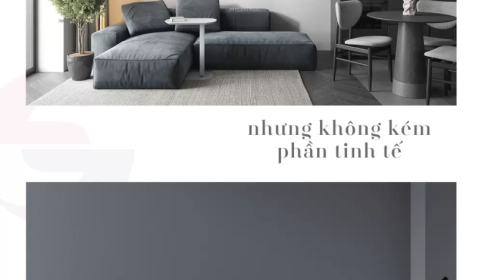 KHÁM PHÁ BỘ SƯU TẬP MÀU SẮC MỚI NHẤT - SIMPLE ELEGANT